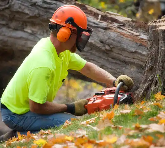 tree services Milltown